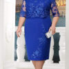dress with a simple cut with a lace bolel