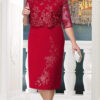 dress with a simple cut with a lace bolel 3
